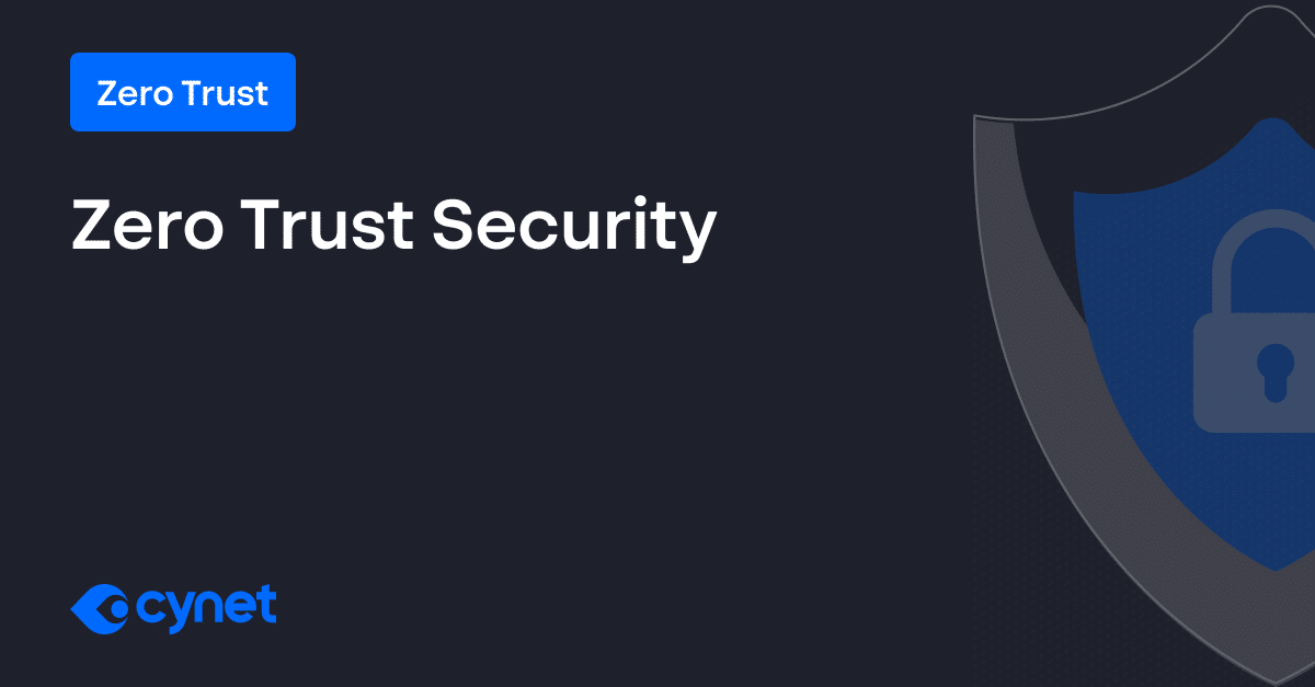 Zero Trust Security: Key Principles and How to Implement Them